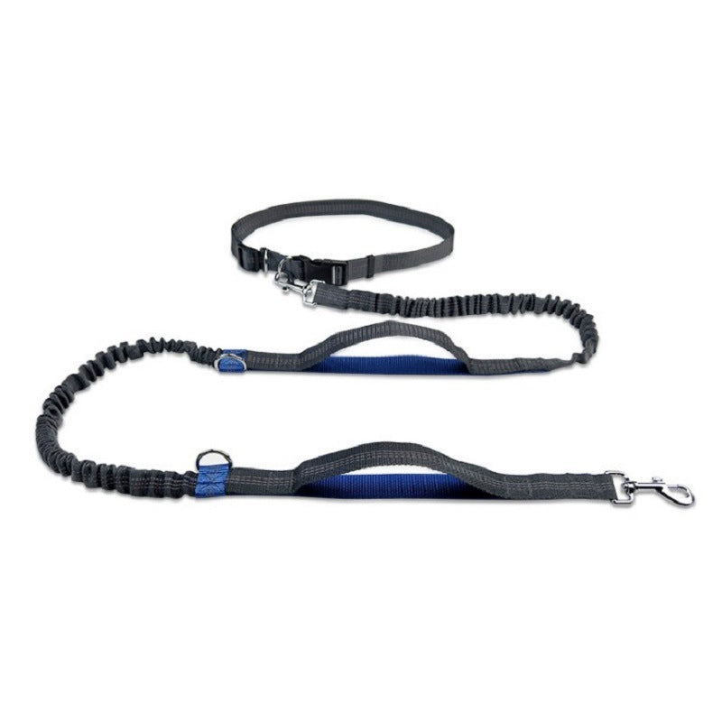 Multifunctional pet traction rope—perfect for walks, training, and more!
